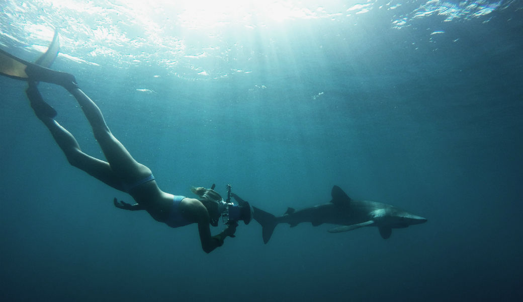 Photos With A Bite – A Look At The Life Of An Underwater Photographer