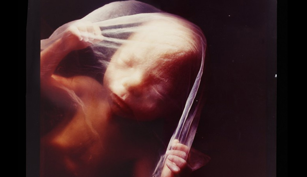 lennart nilsson baby photos